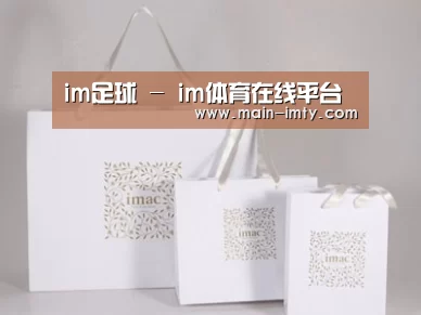 项目名称十一