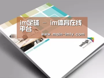 项目名称九