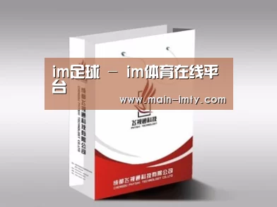 项目名称十三