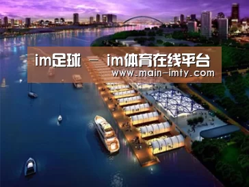 案例展示八