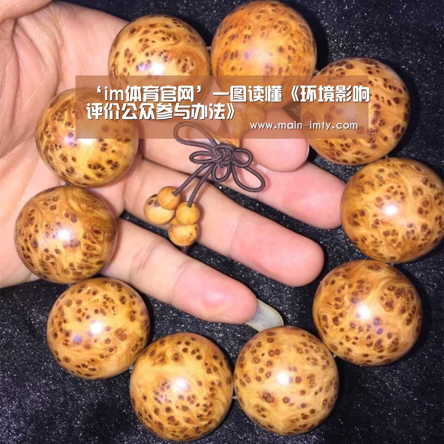 im体育官网