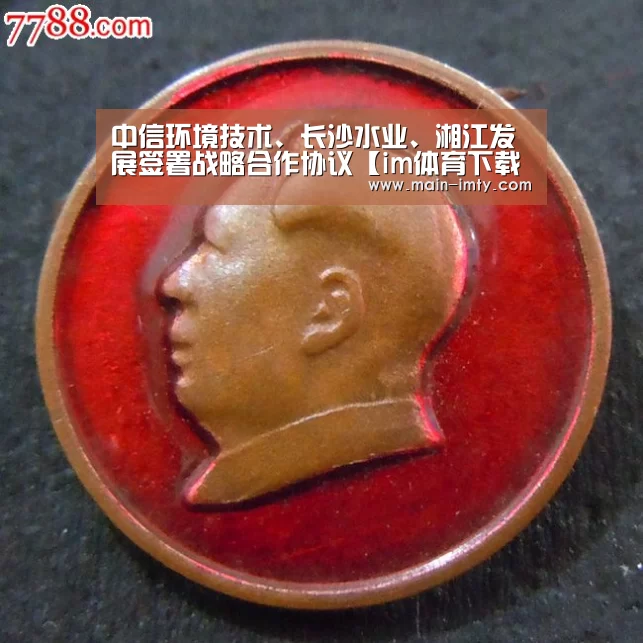 im体育官网