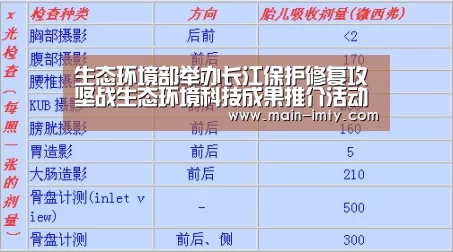 im体育分部