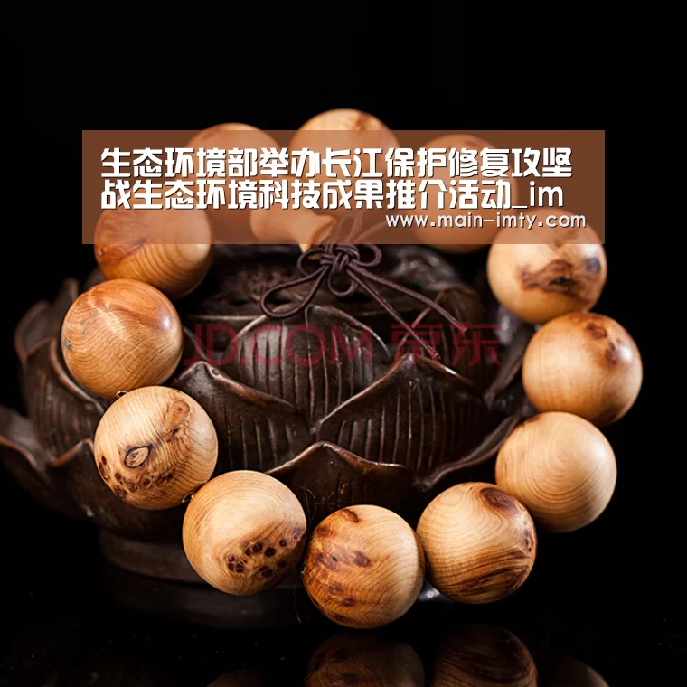 im体育分部