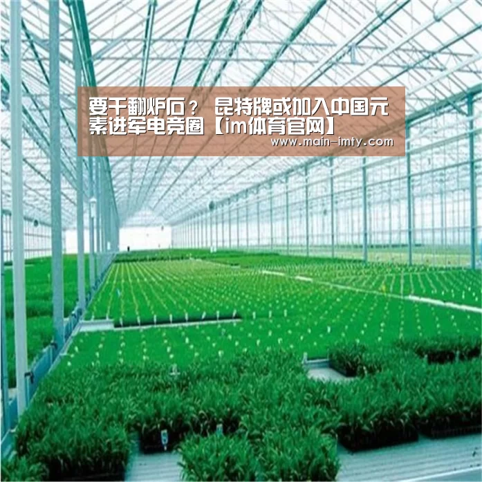 要干翻炉石? 昆特牌或加入中国元素进军电竞圈【im体育官网】(图2) im体育管理