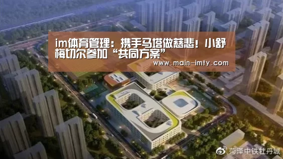 im体育管理
