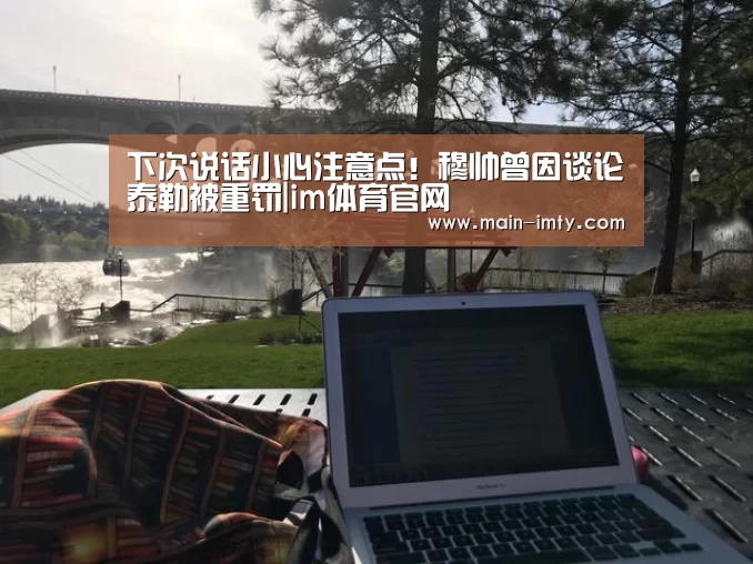 im体育下载