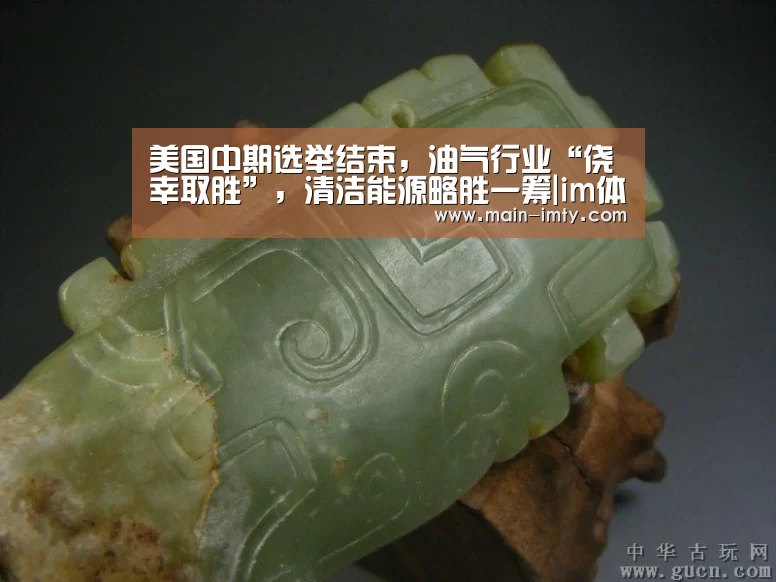 美国中期选举结束,油气行业“侥幸取胜”,清洁能源略胜一筹|im体育管理(图1) im体育分部