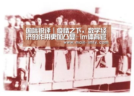 im体育分部