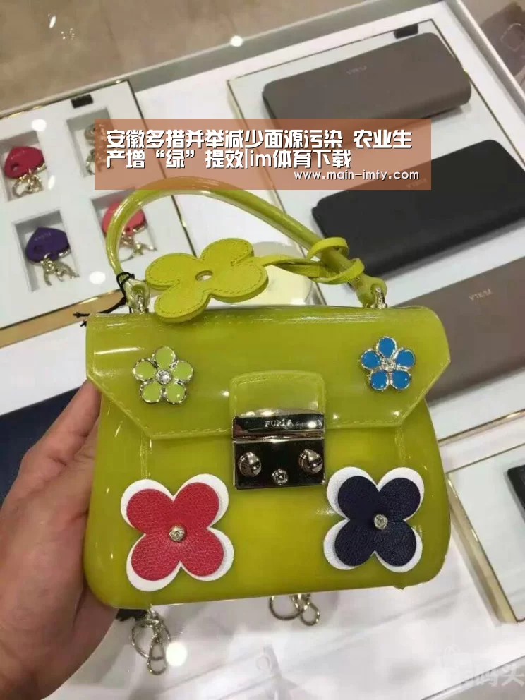 im体育管理