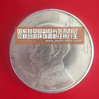 im体育分部
